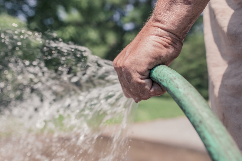 jardinerie-GRASSE-min_garden-hose-413684